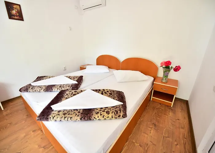 Maya Вама-Веке