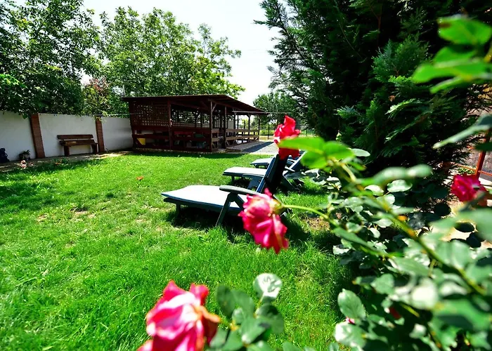 Maya Вама-Веке