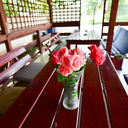 Guest house Maya